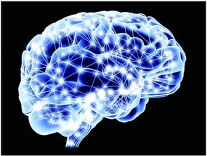 计算机网络技术服务下的未来机器人 互联、智能与协同的图景